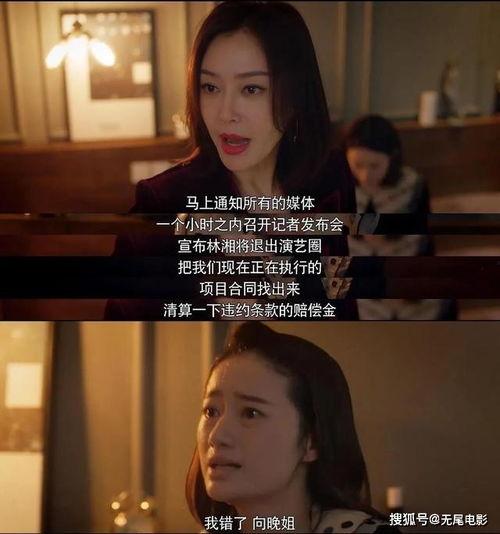 为了吃瓜进娱乐圈却红了txt